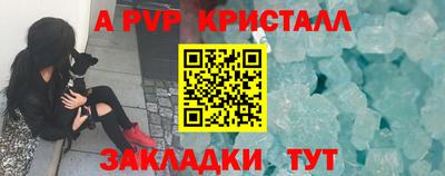 стаф Кунгур